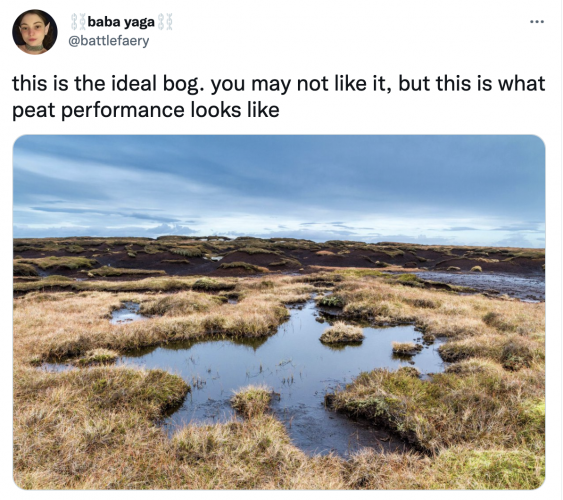 Tweet with image of striking boglands with text: "this is the ideal bog. you may not like it, but this is what peat performance looks like." Posted by baba yaga⛓ @battlefaery on Apr 27, 2021.