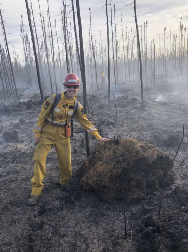 <a href="https://theconversation.com/how-to-fight-wildfires-and-climate-change-with-wetlands-117356">"McMaster researcher Sophie Wilkinson demonstrates the resistance of super moss [!!!] to wildfire"</a>