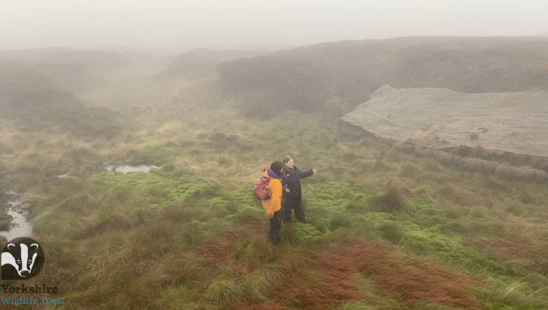 <a href="https://vimeo.com/814670004">Screenshot from Yorkshire Peat Partnership: Discovering Peatlands</a>