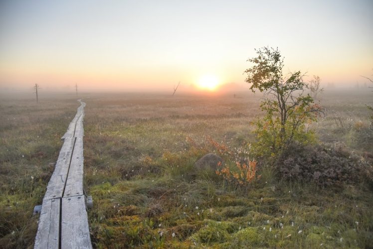 <a href="https://finlandnaturally.com/nature-experiences/the-magic-of-sunrise-on-a-finnish-bog-what-its-like-and-where-to-experience-it/">Finland Naturally</a>