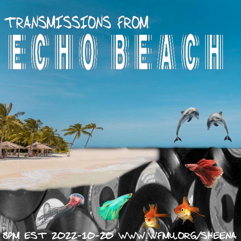 WFMU: Transmissions from Echo Beach with Derek Westerholm and DJ Babs:  Playlist from October 20, 2022