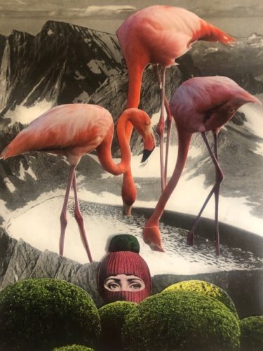 Undercover Flamingo Hunter - Collage Artwork by @hotel.somewhere