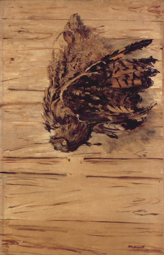 the dead owl by Edouard Manet