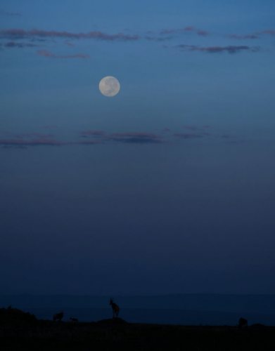 Moon Over Africa (taken by Kevin W)