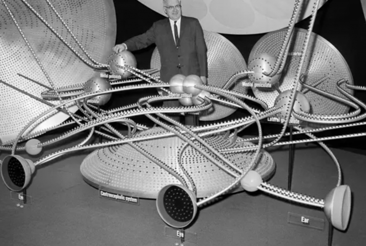 A giant electrified model of the human brain (1961).