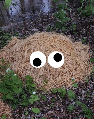 Estimated-300-400 lbs of pasta dumped in Old Bridge - Thanks to Micah Moses for the pic, and the googly eyes