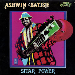 Ashwin Batish