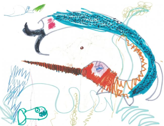 Narwhal by Teddy, age 4