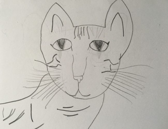 Beautiful cat by Lia, included in a piece of fan mail. Email your original art to <b>doubledip@wfmu.org</b> to have it featured!