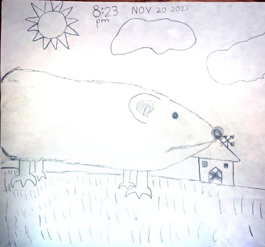 Rat by listener Mbozqn, age 5 in bicycle years. Send your art to doubledip@wfmu.org