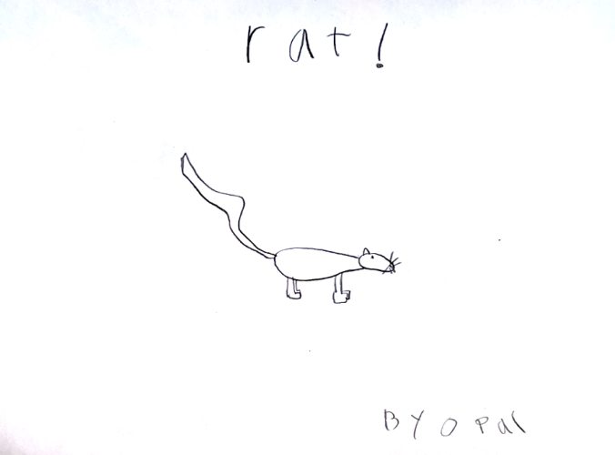 rat! by listener Opal, age 210 in rat years. Send your art to doubledip@wfmu.org and get a Double DIp Recess Magnet