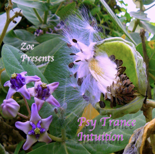 A $75 donation gets you my marathon premium mix, psy trance intuition