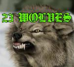23 Wolves's image
