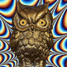 Owl Sun's image