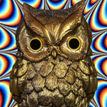 Owl Sun's avatar